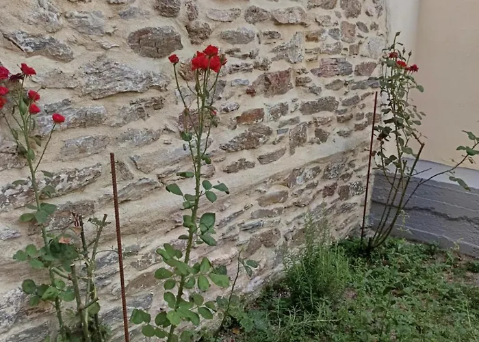 Maison d'hôtes Heidis Haus Polýgyros